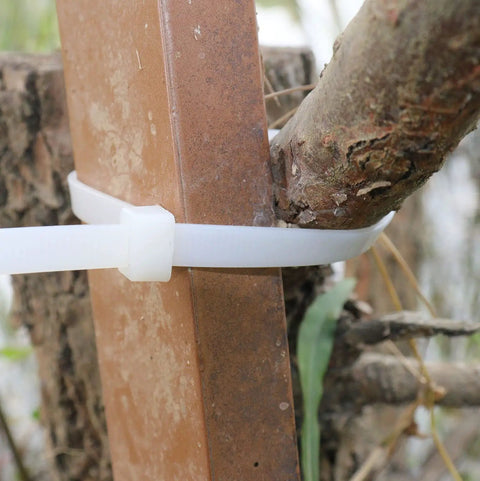 36 Inch White Zip Ties Heavy Duty Outdoor Use Cable Ties 250 Lbs Tensile Strength Thick Nylon Zipties securing a tree limb