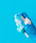 Vinyl Exam Gloves X Large Latex Free Powder Free Case Of 1000 for allergy sufferers, glove holding foamy sponge