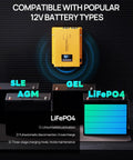 Rock Solid 3000 Watt Pure Sine Wave Inverter Charger with 12V battery types, featuring SLE, AGM, GEL and LiFePO4 models.