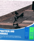 Pigeons on pavement with Must Have Ring Holder Organizer Rack For Racing Pigeons And Poultry Ring Storage Foot Ring Rack shown 