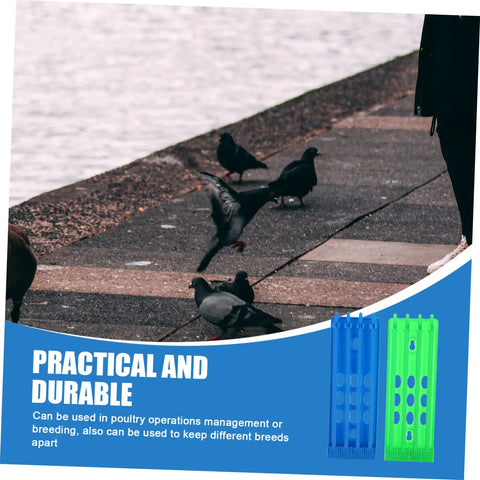 Pigeons on pavement with Must Have Ring Holder Organizer Rack For Racing Pigeons And Poultry Ring Storage Foot Ring Rack shown 