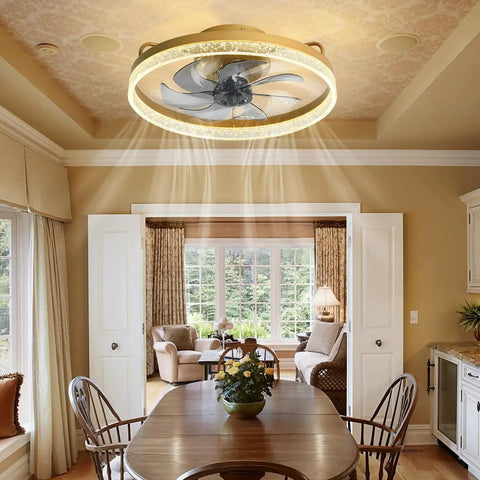 Gold Modern Ceiling Fan With Light 20 Inch High Light Transmittance Quiet Safe Motor Flush Mount Light Fixture in dining room