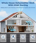 Whole House Dehumidifier 165 PPD Workhorse Pro Grade For Home Garage Crawl Space And Water Damage Restoration Up To 4500 Sq Ft Energy Efficient Quiet Operation With Quick Humidity Control diagram with HVAC ducting in house.