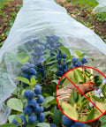 Ultra Fine Garden Netting 10 By 50 Feet For Raised Beds And All Veggies Mosquito And Pest Barrier Mesh Protects Blueberries Fruits Flowers Shrubs And Crops From Birds And Insects covering blueberry plants