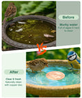 Comparison of birdbaths, before with murky water, after with Pure Copper Bird Bath Purification Disk With Solar Power Heater Deicer For Outdoor Baths Keeps Water Clean And Bird Safe, No Fuss Rust Resistant Cage Hanging Bowl Or Deck Railing Warmer Weatherproof Fountain Station in clean water.