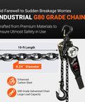 Beefy Three Quarter Ton Manual Lever Chain Hoist 1650 Lbs Capacity 10 Ft Lift with G80 Galvanized Chain and Hook