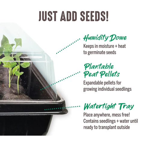 Seed Starter Tray Kit With Two 50 Cell Trays And 42 Millimeter Peat Pellets For Easy Germination with humidity dome and labels