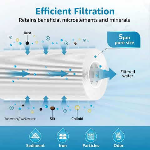 Diagram of Whole House Water Filter Replacement For GE FXHSC GXWH40L GXWH35F American Plumber W50PEHD W10-PR Culligan R50-BBSA with 5 micron filtration illustration