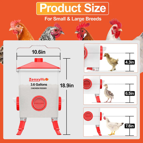 Three Point Six Gallon Chicken Feeder With Anti Roost Cone 3 Adjustable Height Locking Legs Four No Waste Ports For Backyard
