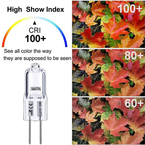Image showcasing Bi-Pin Halogen Bulbs Pack of 10, 12V 10W, 150 Lumens High Output, highlighting CRI 100 with autumn leaves