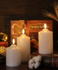 Flickering Flameless LED Candles With Remote Control And Timer, Waterproof Battery-Powered Pillar Candles, 3D Wick, Indoor Display
