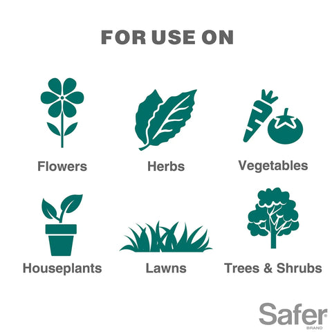 All In One Neem Oil Concentrate Garden Spray For Plants Insecticide Miticide And Fungicide Kills Pests And Fungal Diseases OMRI Listed