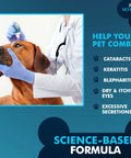 NOVEHA Pet Drops Wash advertisement: brown dog during veterinary exam as clinician with blue gloves applies drops; NOVEHA logo visible.