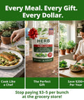 15 All In One Herb Seed Pack For Indoor Outdoor And Hydroponic Gardens With Over 4,300 Seeds Non GMO Heirloom Culinary