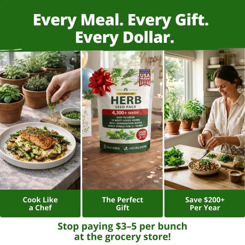 15 All In One Herb Seed Pack For Indoor Outdoor And Hydroponic Gardens With Over 4,300 Seeds Non GMO Heirloom Culinary