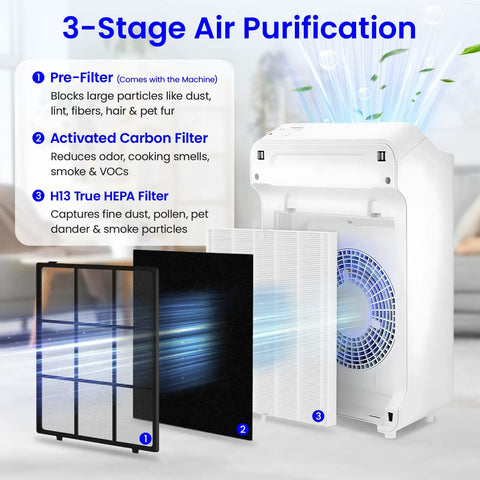 3-stage air purification process with pre-filter, activated carbon, and H13 True HEPA in 2 Pack C545 Replacement Filter S Kit