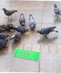 Must Have Ring Holder Organizer Rack For Racing Pigeons And Poultry Ring Storage Foot Ring Rack on pavement near pigeons