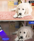 Before and after images using Lit 40 Pack UV Flashlights Mini Black Light to detect pet urine stains on carpet with a puppy on it.
