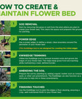 Steps for creating and maintaining flower bed with images illustrating sod removal, edging, trimming, amending soil, and finishing.
