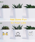 Three white pots with succulents, before and after decoration with cartoon faces using Inkjet Clear Waterslide Transfer Paper.