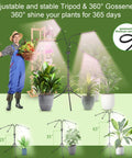 Go-To Full Spectrum Indoor Plant Grow Light With Stand And Adjustable Tripod, 80 LED, 360° gooseneck shown with plants