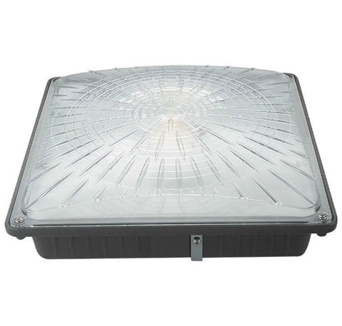 Beast Bright Outdoor Canopy Light 45W LED Over 5100 Lumens Daylight 5000K AC110277V Energy Saver 10x10 Ceiling Fixture front view