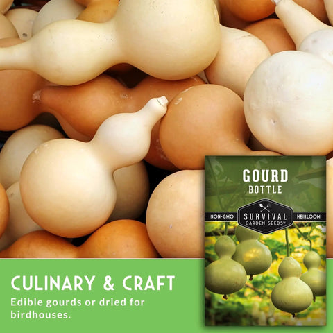 Super Easy Grow Bottle Gourd Seeds Packet With Growing Guide For Home Garden Calabash Birdhouse Gourds Non GMO Heirloom Variety Survival Garden Seeds With Step By Step Planting Instructions And Growing Tips For A Bountiful Harvest