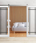 Double Barn Door With Clear Glass Sliding Door Set For Interiors Built Tough With 13 Ft Stainless Rail, living room view