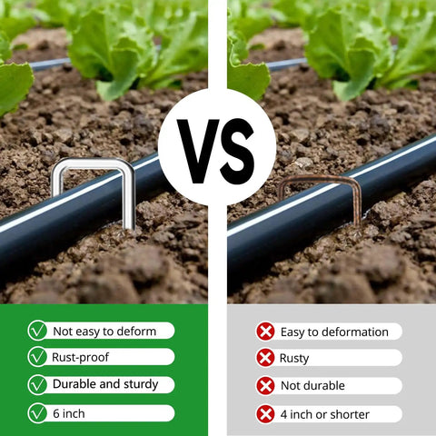 Comparison of Heavy Duty 6 Inch Garden Stakes With Beveled Ends, 11 Gauge Galvanized Steel versus thinner rustier staples in soil.
