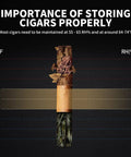 Chart showing importance of storing cigars with 48L Electric Cigar Humidor Cabinet With Cooling And Heating Temperature Control, 64-74°F range