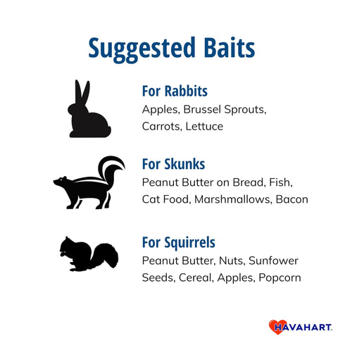 Suggested baits for rabbits, skunks, and squirrels with food items listed for each animal on a Havahart instructions graphic.