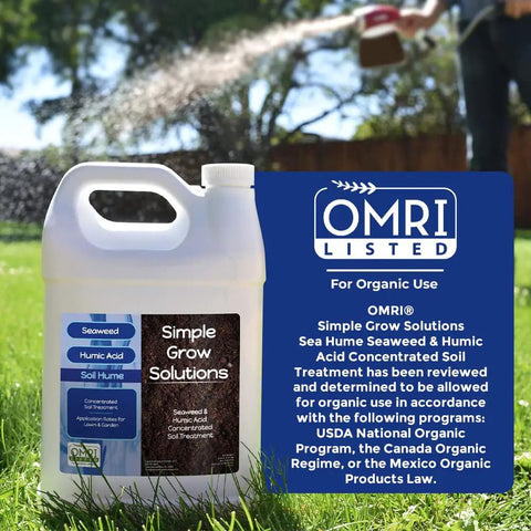 Liquid Sea Kelp And Humic Acid Blend For Grass And Plants That Boosts Your Lawn Game Seaweed Rich Soil Conditioner For Real Growth