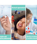 Molecular Model Kit For Chemistry Learning, child smiling and assembling 125 pieces ball and stick models in classroom setting