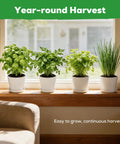Indoor Herb Garden Starter Kit For Home Chefs And Plant Lovers Full Complete Pack With Four Heirloom Non GMO Culinary Herb Seeds