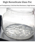High Borosilicate Glass Pot showing good transparency, cold and heat resistance for heavy duty coffee making.