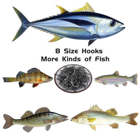 Bulk Fishing Hooks Set 400 Pcs Assorted Sizes for Freshwater and Saltwater Fishing with various fish types and hooks shown.