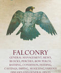 Cover of falconry guide featuring a falcon, Pro Tips For Hawks And Birds Of Prey Care General Management Mews Blocks Perches
