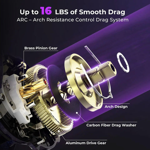Detailed internal view of Royale Legend Pro Baitcasting Reel With Fast 8.0 To 1 Gear Ratio showing brass pinion, carbon fiber washer, ARC system