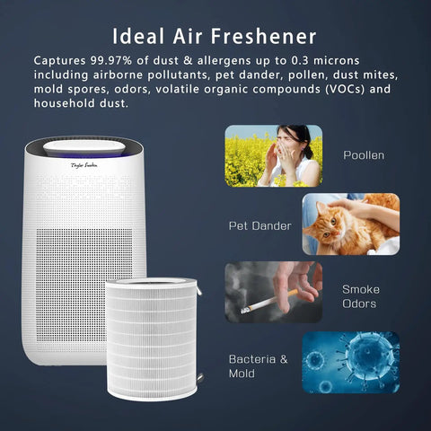 Top Notch True HEPA H13 Replacement Filter Set For Air Purifier B08887JNHC Model 330600IBB with filter and allergen images
