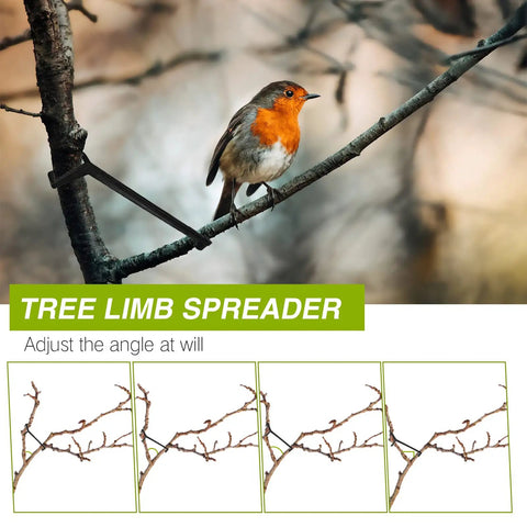 100 Pack Black Fruit Tree Limb Spreaders For Strong Branch Spreading And Crotch Angles Plastic Bonsai Trunk And Stem Trainer Tools For Potted Trees And Small Orchard Plants installed on tree with bird, showing branch adjustment.