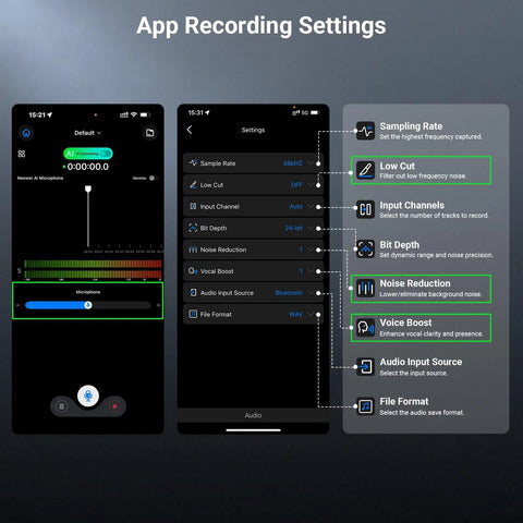 App recording settings for AI Wireless Lavalier Microphone For iPhone Android Camera And PC with noise reduction features.