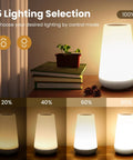Dimmable Touch Night Light With 360 Degree Control on a table, showing 5 brightness levels beside books and plant