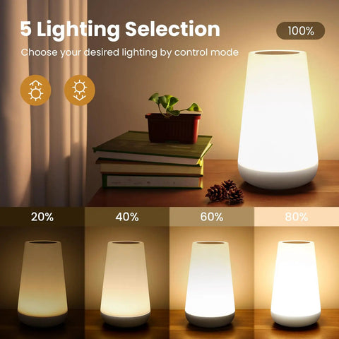 Dimmable Touch Night Light With 360 Degree Control on a table, showing 5 brightness levels beside books and plant
