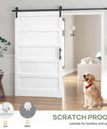 White 48x84 Inch Sliding Barn Door Slab With 8 Foot Hardware Kit Included 5 Panel MDF Wood Door in home interior with pet-friendly PVC surface.