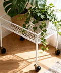 White metal plant stand with 16 Pack Ball Caster Wheels 2 Inch Antique Brass Swivel Casters For Furniture Chairs Sofas Cabinets And Coffee Tables, Each Wheel Supports 44-55 Lbs, Easy Glide Replacement on hardwood floor.