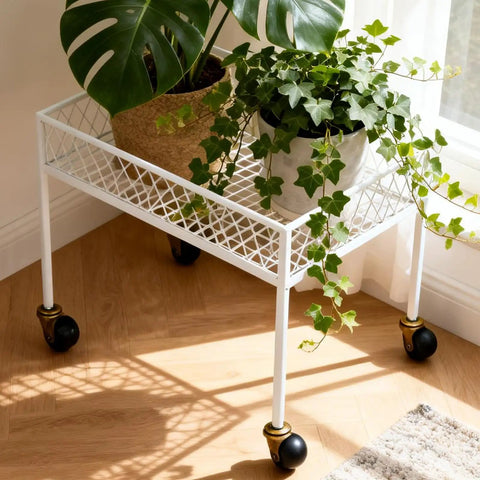 White metal plant stand with 16 Pack Ball Caster Wheels 2 Inch Antique Brass Swivel Casters For Furniture Chairs Sofas Cabinets And Coffee Tables, Each Wheel Supports 44-55 Lbs, Easy Glide Replacement on hardwood floor.