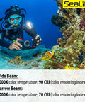 Diver using Sea Dragon 3000SF Pro Dual Beam Compact Underwater LED Light For Scuba Photo And Video, capturing coral and clownfish.