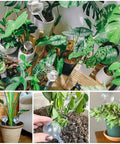 Clear Plant Watering Globes Set Of 10 Self Watering Bulbs For Indoor And Outdoor Plants in various pots, PVC material shown.
