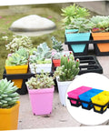 Movable Indoor Plant Pots With 6 Grid Germination Tray For Seedlings And Succulents Hydroponic Grow Tray System Durable Plastic Nursery Kit For Easy Maintenance And Pro Grade Home Garden Setup, colorful succulents