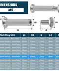 Heavy Duty Rock Solid Chicago Binding Screws M5 X 20mm Cross Head 304 Stainless Steel dimensions chart with measurements.